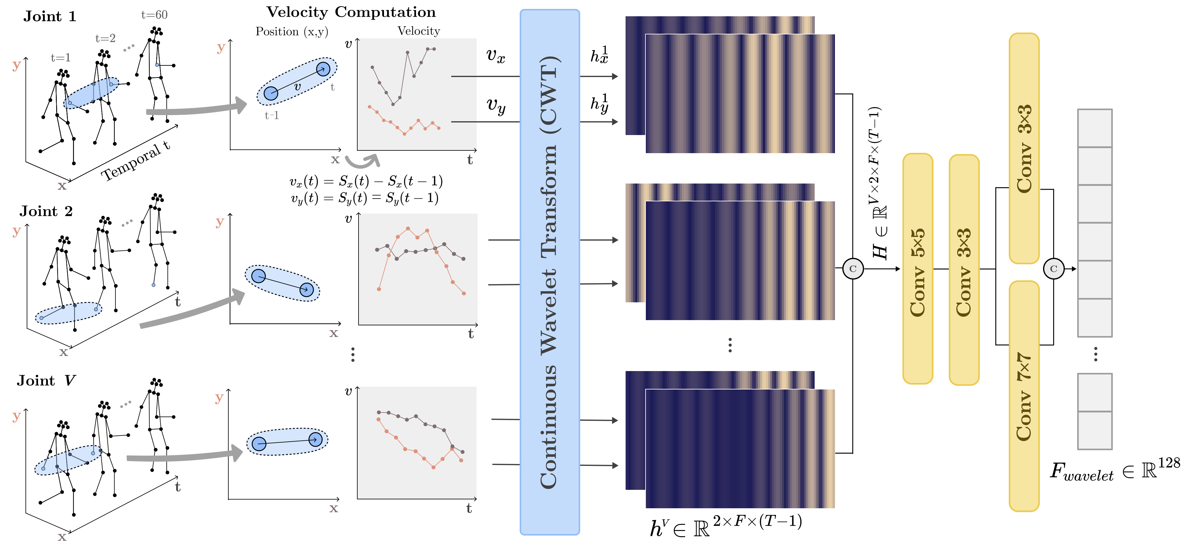 Explicit Time-Frequency Dynamics for Skeleton-Based Gait Recognition